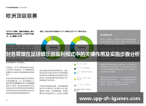 财务管理在足球俱乐部盈利模式中的关键作用及实施步骤分析